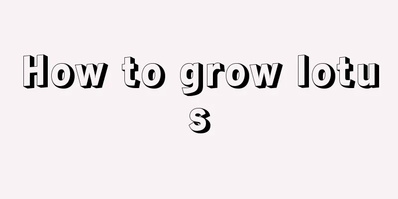 How to grow lotus