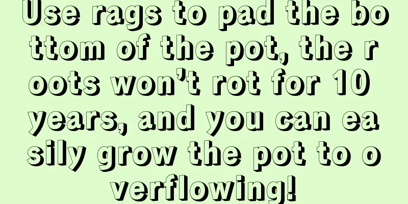 Use rags to pad the bottom of the pot, the roots won’t rot for 10 years, and you can easily grow the pot to overflowing!