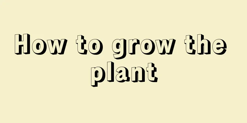 How to grow the plant