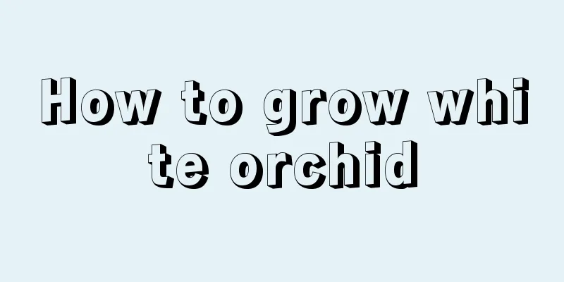 How to grow white orchid