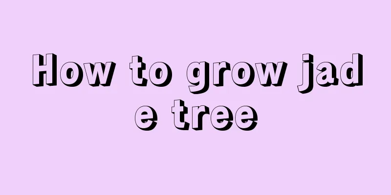 How to grow jade tree