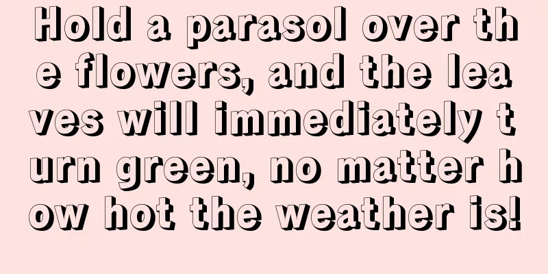 Hold a parasol over the flowers, and the leaves will immediately turn green, no matter how hot the weather is!