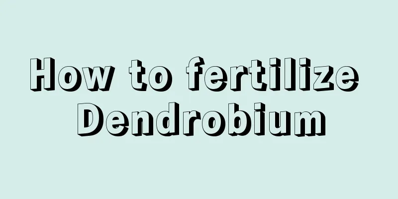 How to fertilize Dendrobium