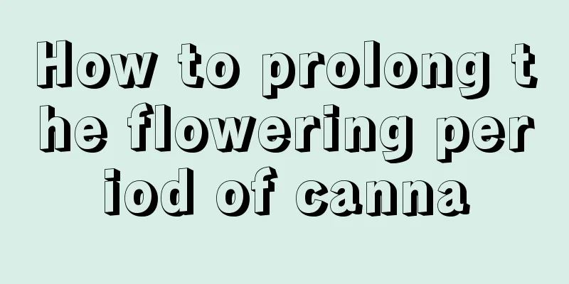 How to prolong the flowering period of canna