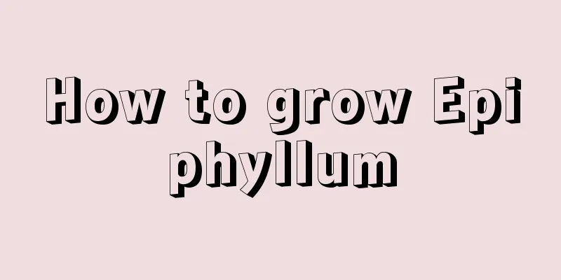 How to grow Epiphyllum