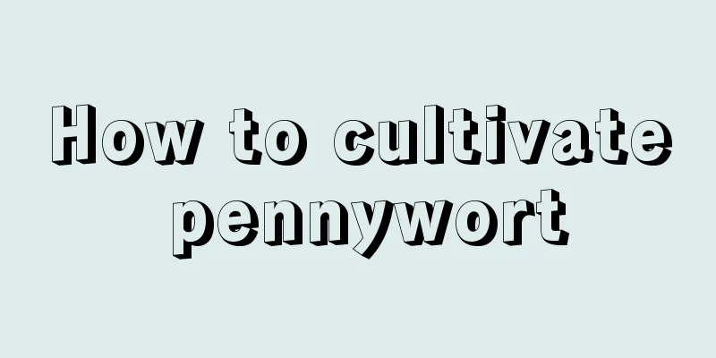 How to cultivate pennywort