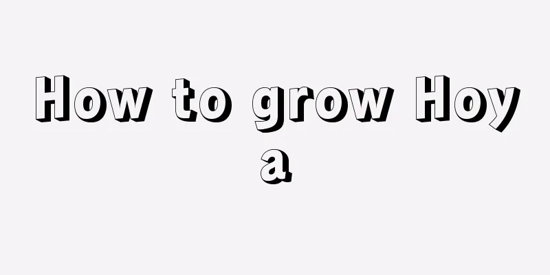 How to grow Hoya