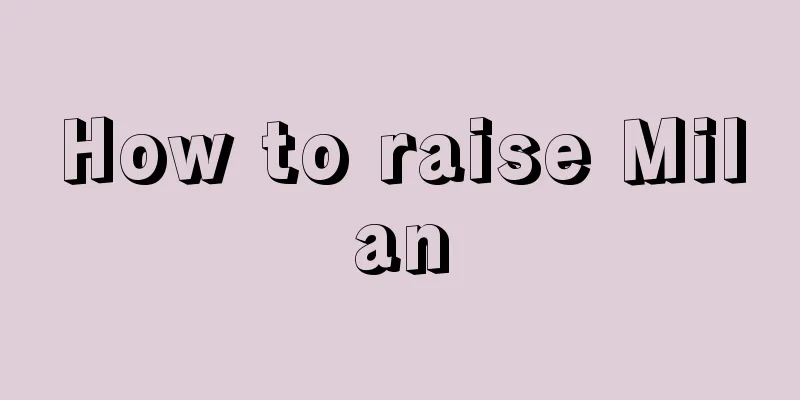 How to raise Milan