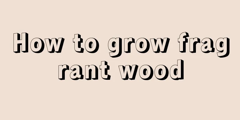 How to grow fragrant wood