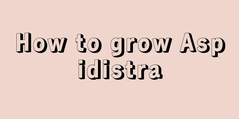 How to grow Aspidistra