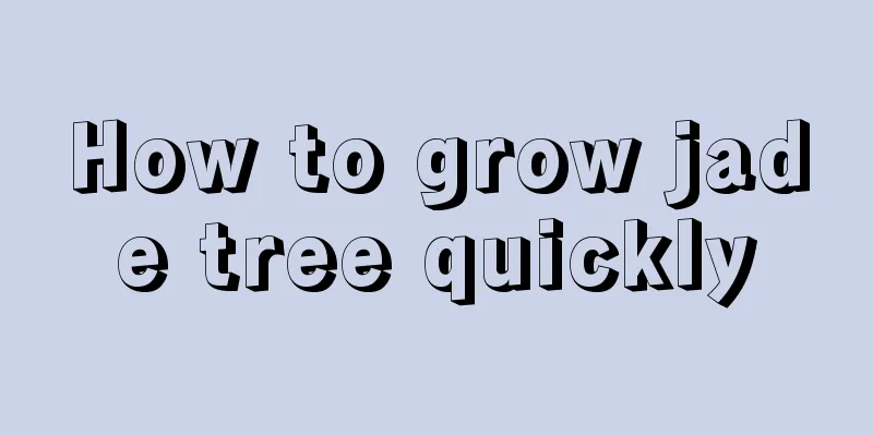 How to grow jade tree quickly