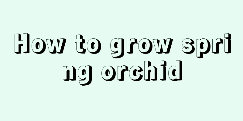 How to grow spring orchid