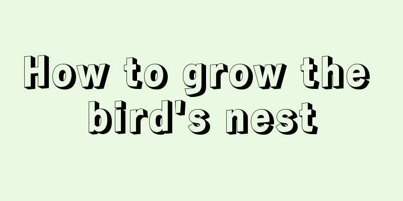 How to grow the bird's nest