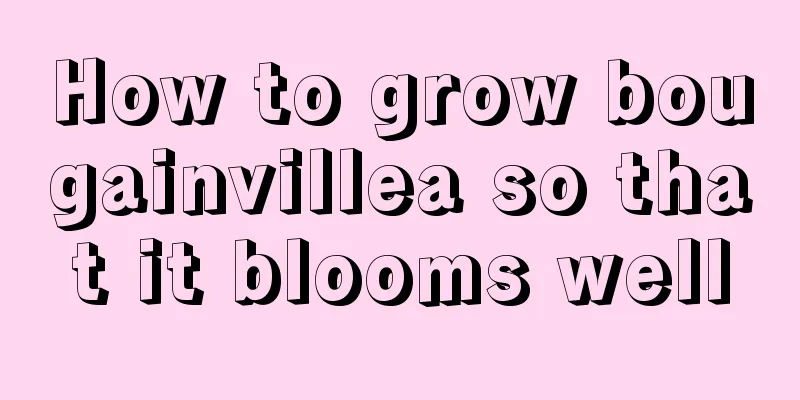 How to grow bougainvillea so that it blooms well