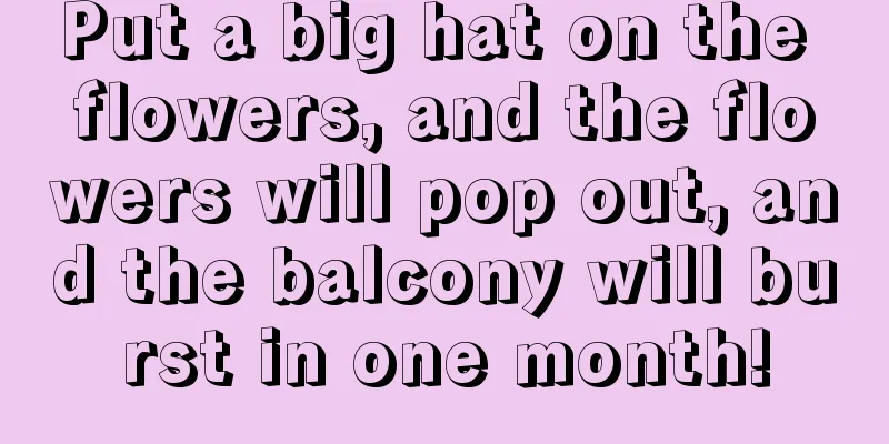 Put a big hat on the flowers, and the flowers will pop out, and the balcony will burst in one month!