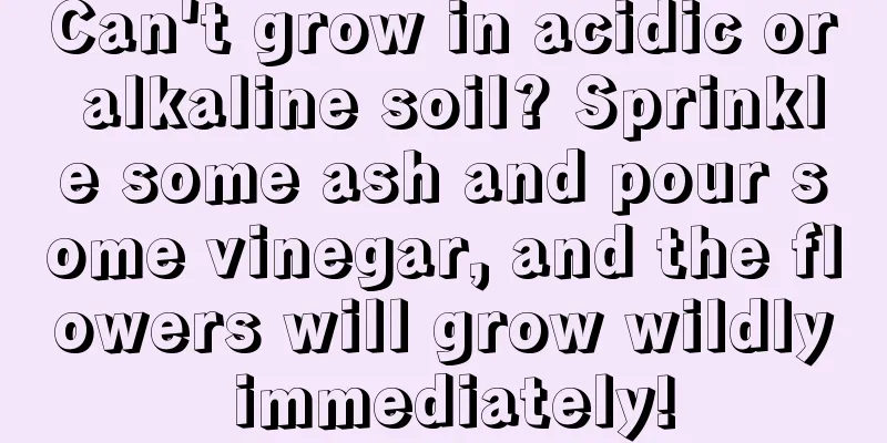 Can't grow in acidic or alkaline soil? Sprinkle some ash and pour some vinegar, and the flowers will grow wildly immediately!