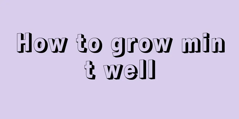 How to grow mint well