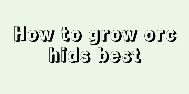 How to grow orchids best