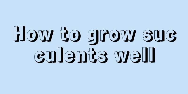 How to grow succulents well