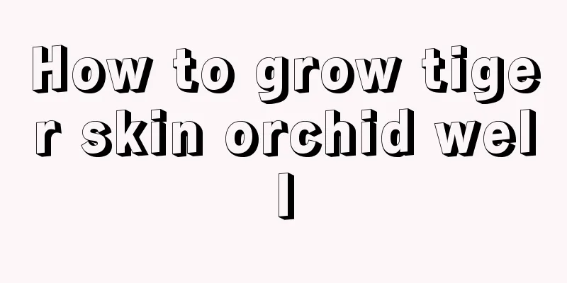 How to grow tiger skin orchid well