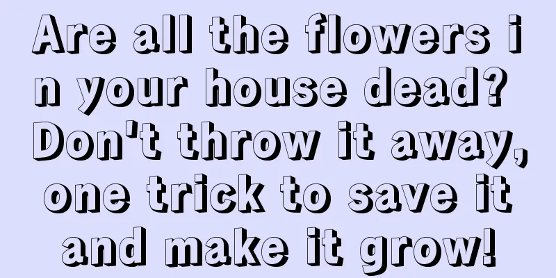 Are all the flowers in your house dead? Don't throw it away, one trick to save it and make it grow!