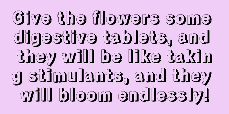 Give the flowers some digestive tablets, and they will be like taking stimulants, and they will bloom endlessly!