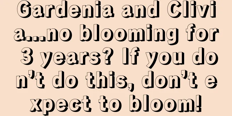 Gardenia and Clivia...no blooming for 3 years? If you don’t do this, don’t expect to bloom!