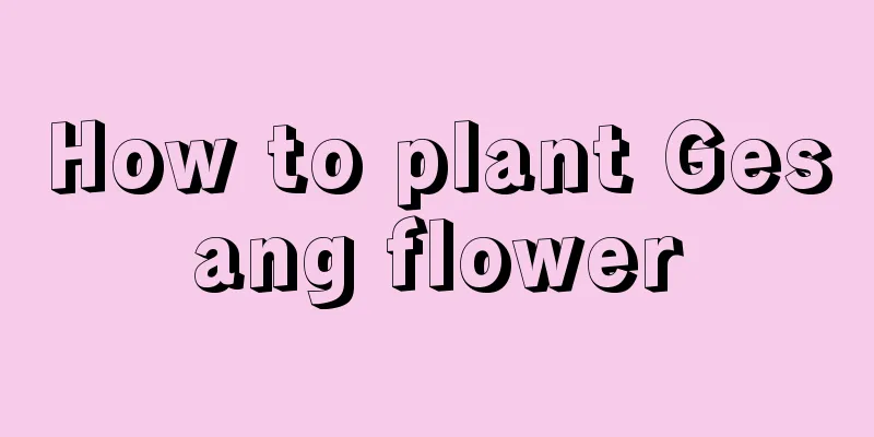 How to plant Gesang flower