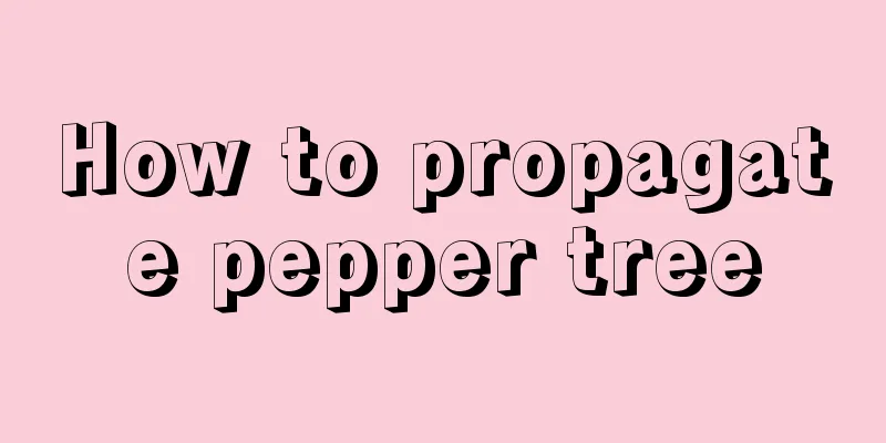 How to propagate pepper tree