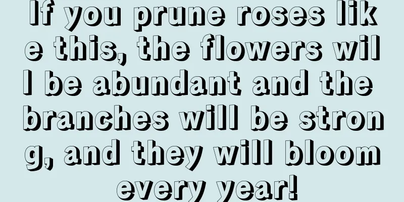 If you prune roses like this, the flowers will be abundant and the branches will be strong, and they will bloom every year!