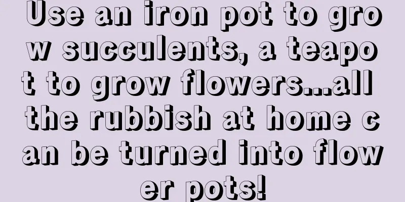 Use an iron pot to grow succulents, a teapot to grow flowers...all the rubbish at home can be turned into flower pots!