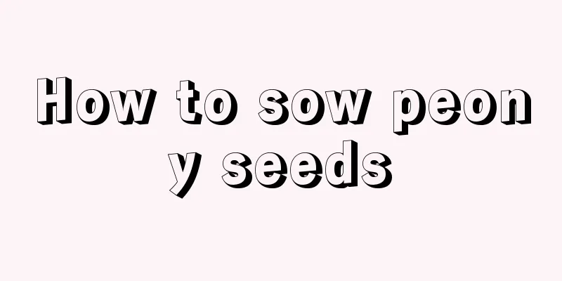 How to sow peony seeds