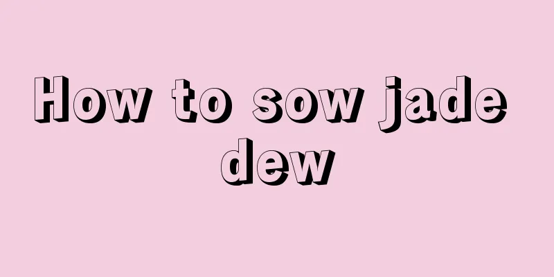 How to sow jade dew