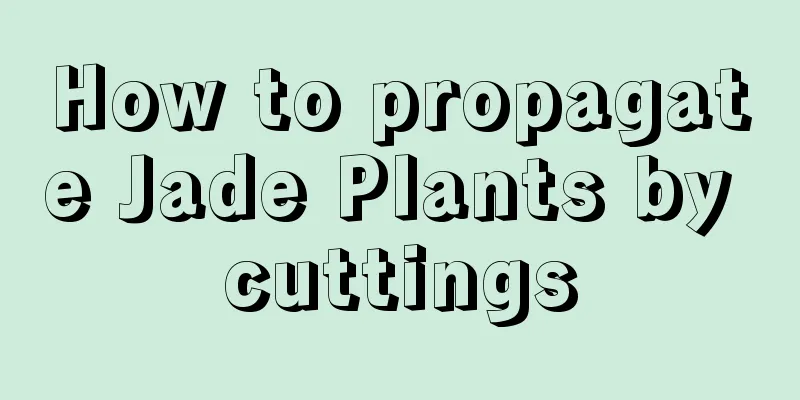 How to propagate Jade Plants by cuttings