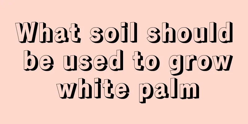 What soil should be used to grow white palm