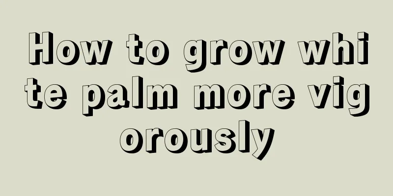 How to grow white palm more vigorously