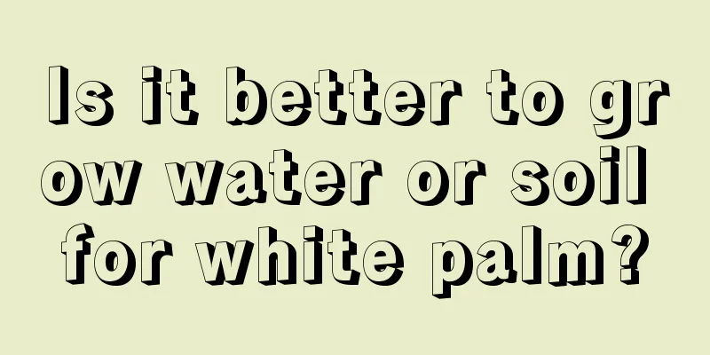 Is it better to grow water or soil for white palm?