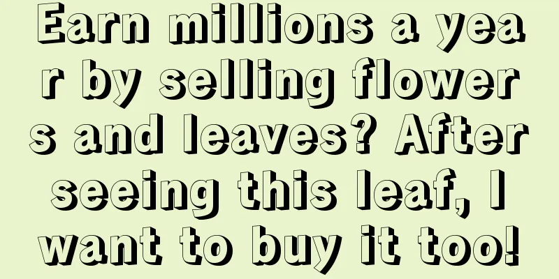 Earn millions a year by selling flowers and leaves? After seeing this leaf, I want to buy it too!