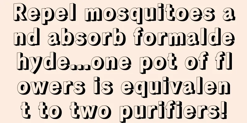 Repel mosquitoes and absorb formaldehyde...one pot of flowers is equivalent to two purifiers!