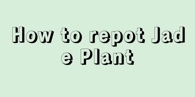 How to repot Jade Plant