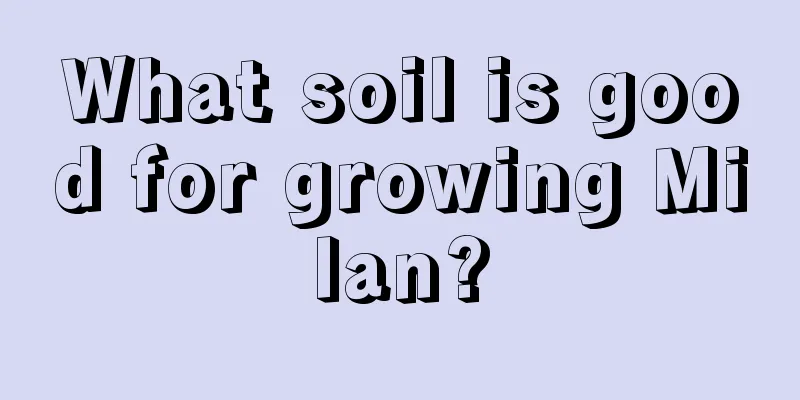 What soil is good for growing Milan?