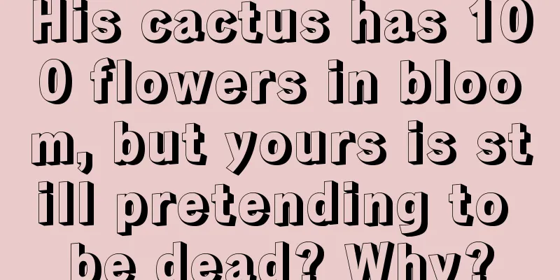 His cactus has 100 flowers in bloom, but yours is still pretending to be dead? Why?