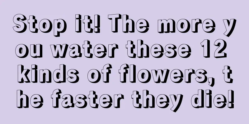 Stop it! The more you water these 12 kinds of flowers, the faster they die!