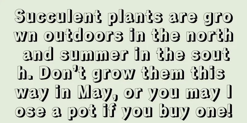 Succulent plants are grown outdoors in the north and summer in the south. Don’t grow them this way in May, or you may lose a pot if you buy one!