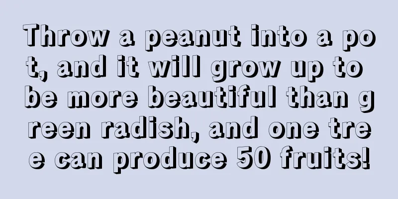 Throw a peanut into a pot, and it will grow up to be more beautiful than green radish, and one tree can produce 50 fruits!