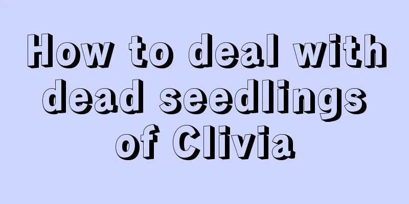 How to deal with dead seedlings of Clivia