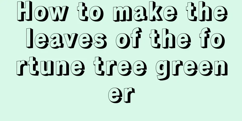 How to make the leaves of the fortune tree greener