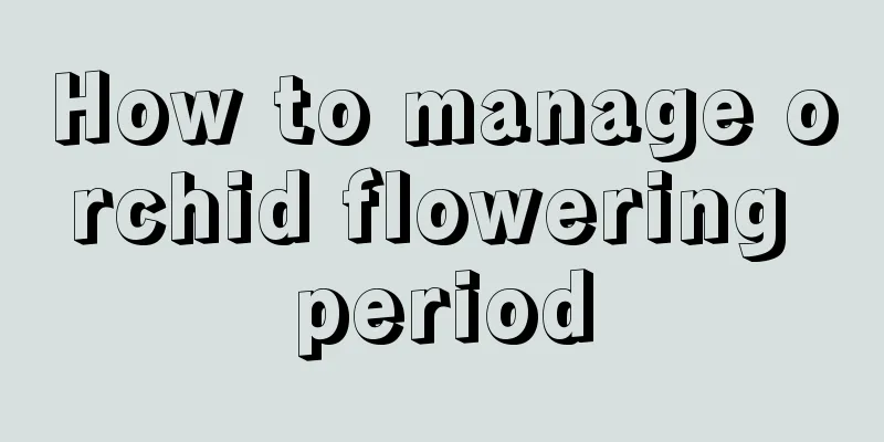 How to manage orchid flowering period