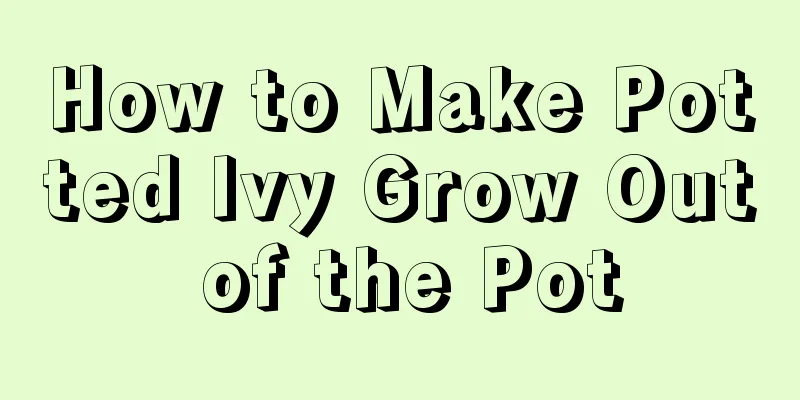 How to Make Potted Ivy Grow Out of the Pot