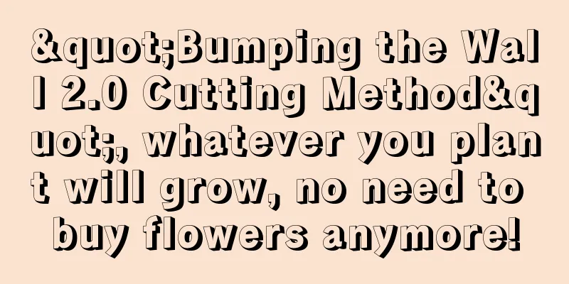 "Bumping the Wall 2.0 Cutting Method", whatever you plant will grow, no need to buy flowers anymore!